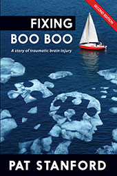 Fixing Boo Boo by Pat Stanford